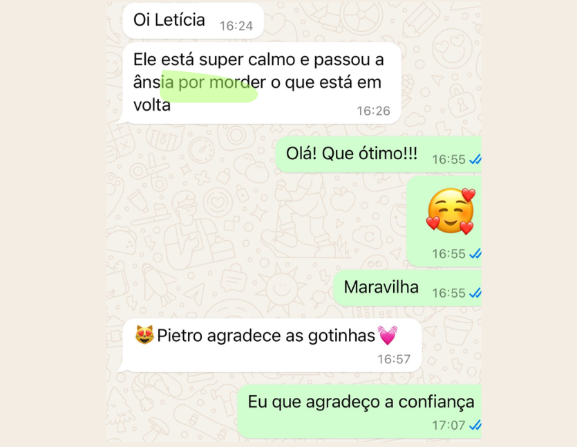 Depoimento Formação Equilíbrio Pet